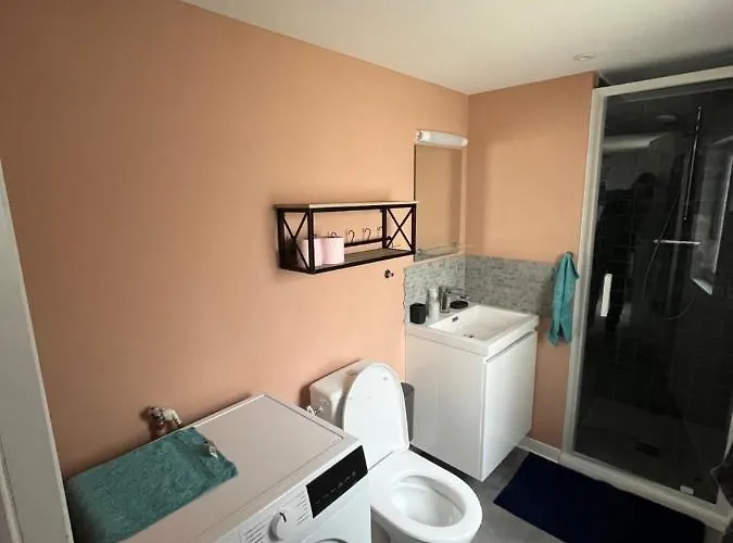 Appartement Cosy Montblanc En Hyper Centre *